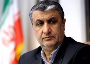 Austria i refuzon vizën kreut të Agjencisë së Energjisë Bërthamore të Iranit për konferencën e IAEA-s