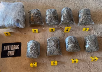 Sekuestrohen mbi 10 kilogramë marihuanë në Pejë, arrestohet një person