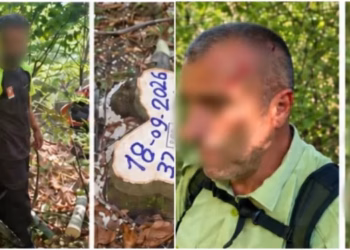 Sulmohet fizikisht roja e pyllit në Shtime gjatë kryerjes së detyrës