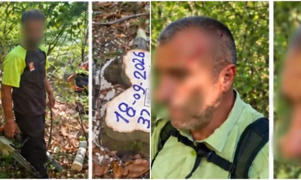 Sulmohet fizikisht roja e pyllit në Shtime gjatë kryerjes së detyrës