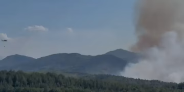 11 vatra zjarri në 24 orë në Shqipëri