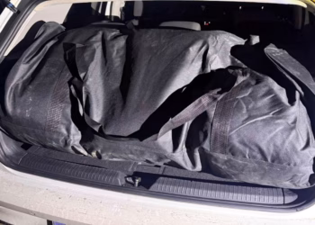 Aktivitete në Kosovë, Shqipëri e Serbi-kërkohet paraburgim për të arrestuarit, të cilëve iu gjetën mbi 50 kilogramë marihuanë