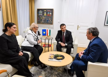 Shiroka-Pula thekson rëndësinë e koordinimit diplomatik Kosovë–Shqipëri