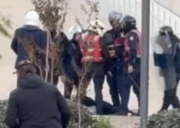 Protestuesi mbetet pa ndjenja nga goditjet e një grupi policësh