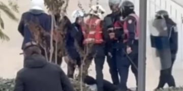 Protestuesi mbetet pa ndjenja nga goditjet e një grupi policësh