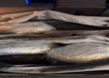 Arrestohet edhe një person për rastin “Errësira” ku u sekuestruan 4 kg marihuanë