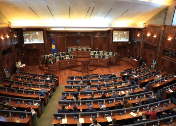 Grupi Punues për strategjinë shtetërore do të marrë parasysh deklaratën e Kuvendit