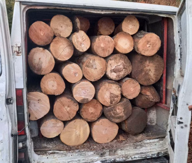 Policia në Shtërpcë konfiskon dy furgonë që transportonin dru ilegalisht