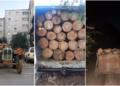 Policia në aksion për mbrojtjen e pyjeve në Ferizaj e Shtërpcë