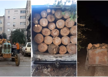 Policia në aksion për mbrojtjen e pyjeve në Ferizaj e Shtërpcë