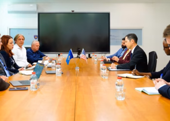 Kosova dhe SHBA-ja themelojnë Grupin Punues për Bashkëpunim në Fushën e Energjisë